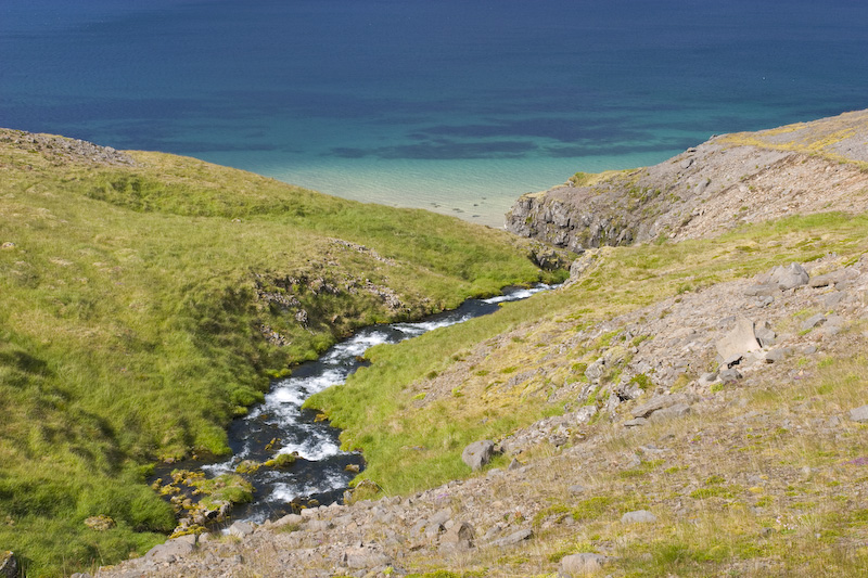 Stream Entering Patreksfjörður